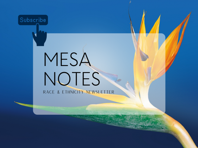 MESA Notes