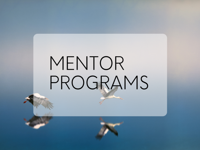Mentor programs